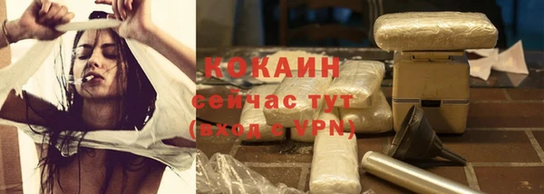 стафф Арсеньев