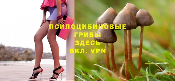 спиды Армянск
