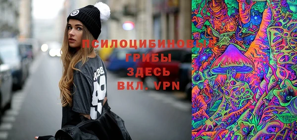 стафф Арсеньев