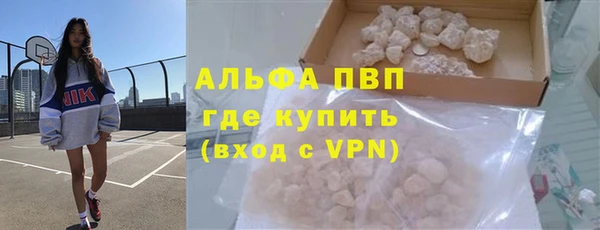 стафф Арсеньев