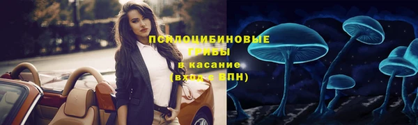 спиды Армянск