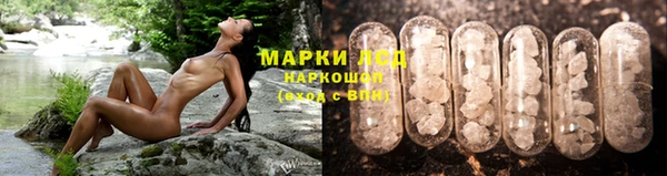 стафф Арсеньев