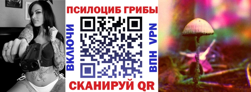 Галлюциногенные грибы ЛСД  Купить закладки  Вологда 